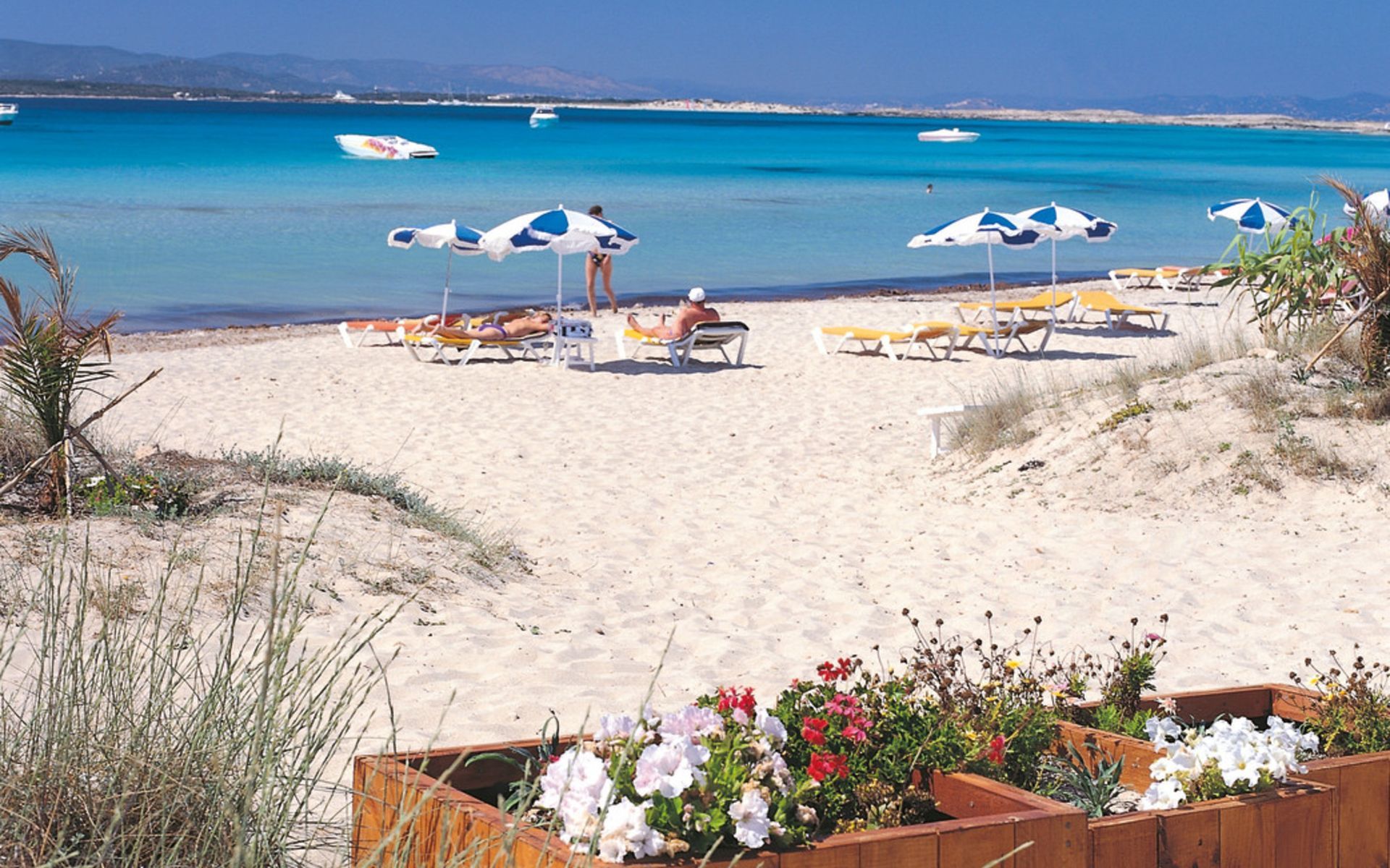 Hotel Riu La Mola à Playa Migjorn Extérieur photo